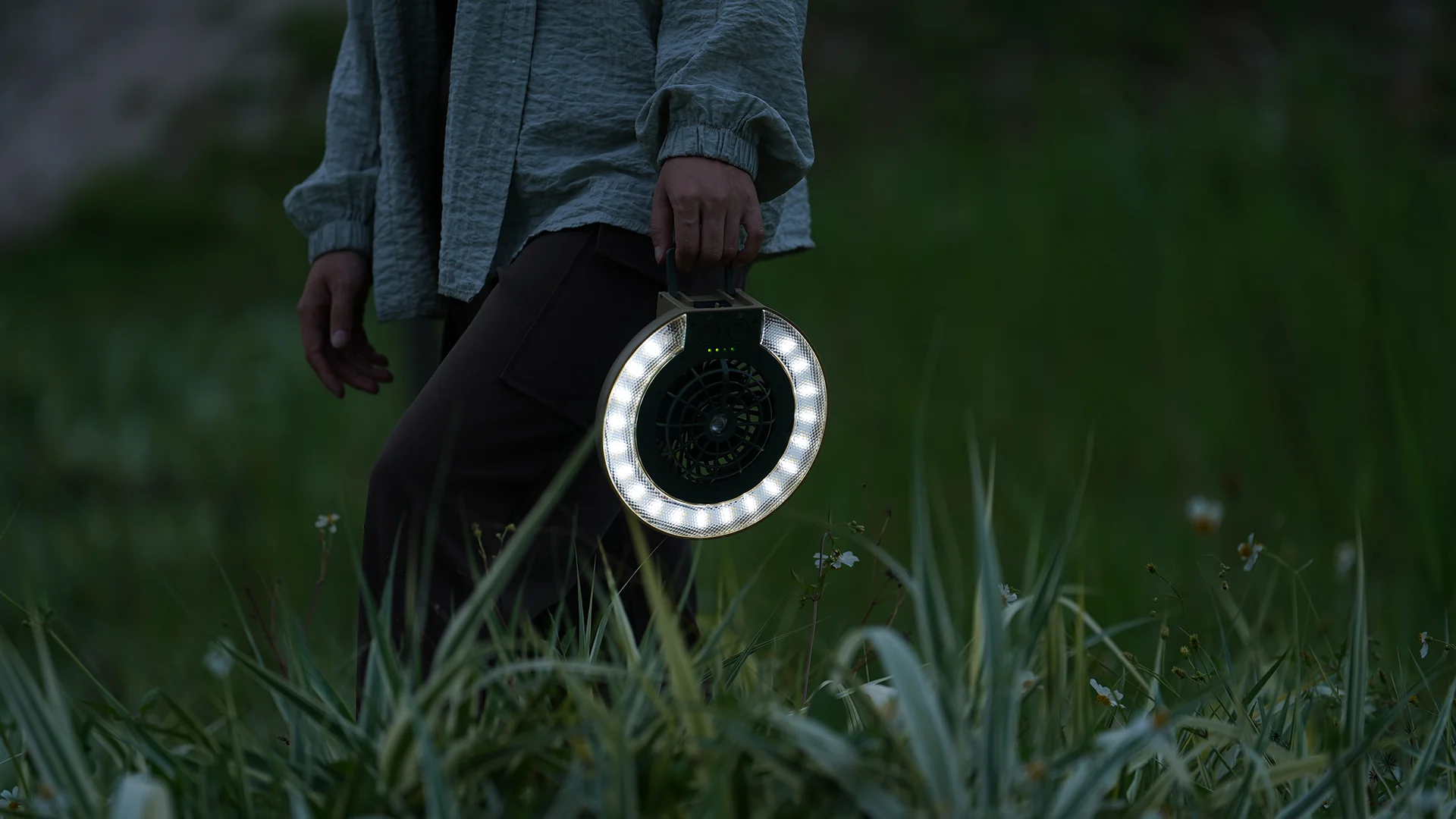 Wild Land Disc Fan - Image 3