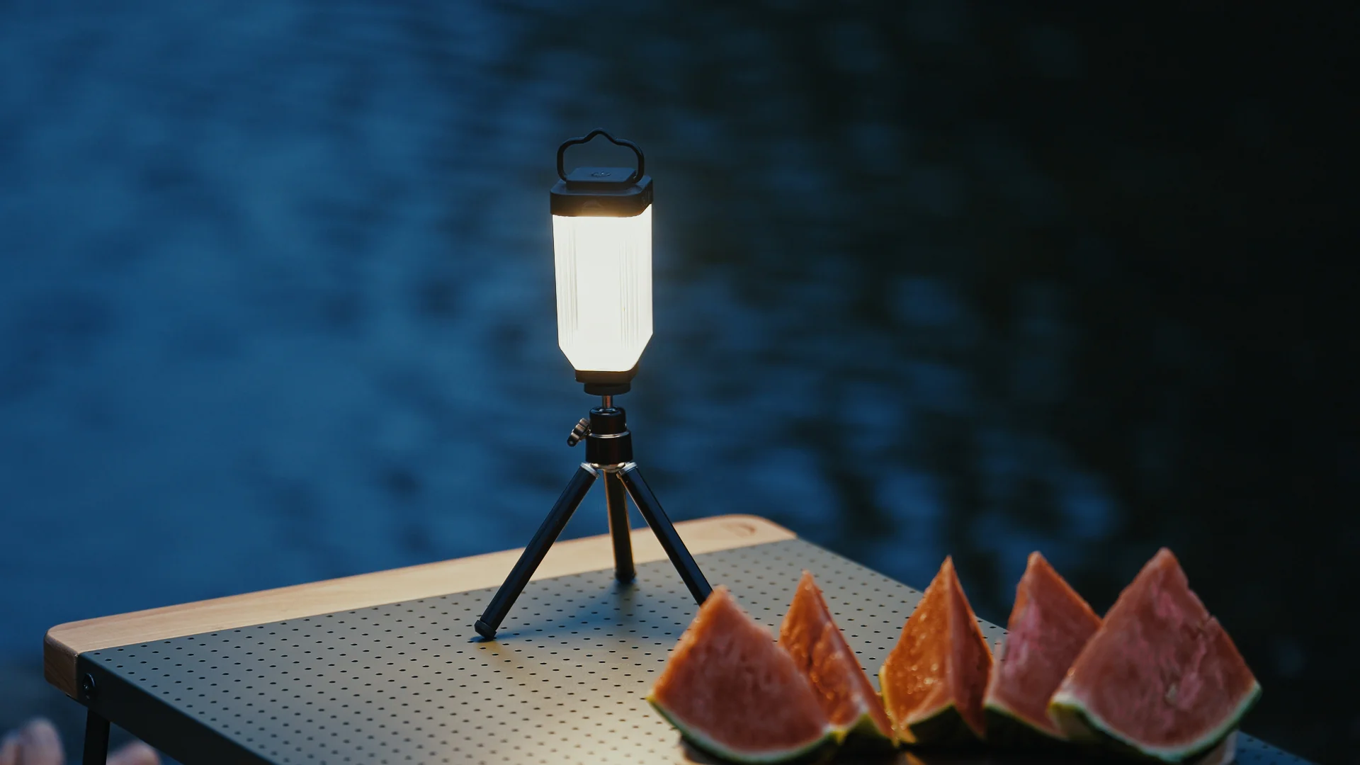 Wild Land Mini Light - Image 3