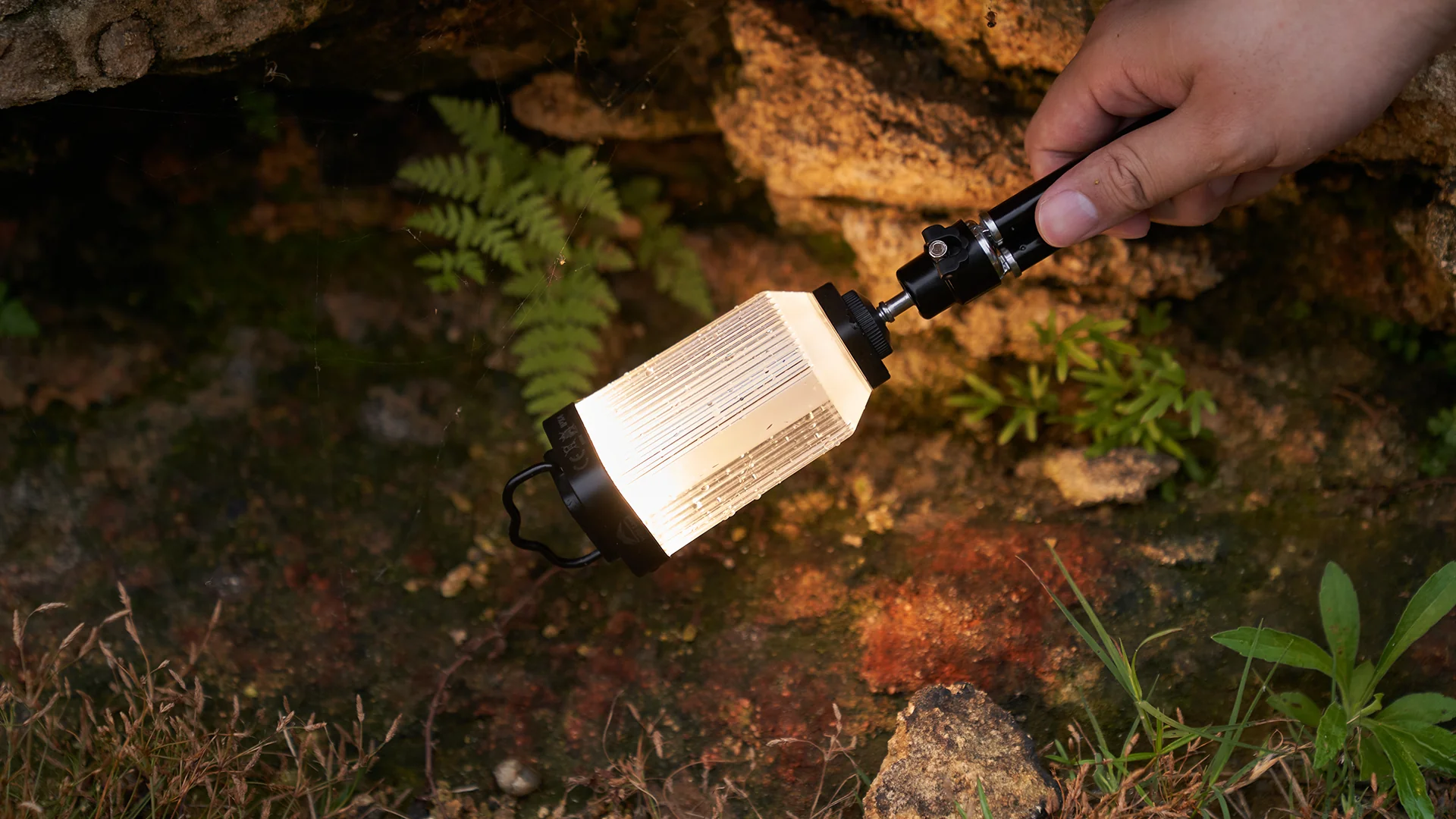 Wild Land Mini Light - Image 6