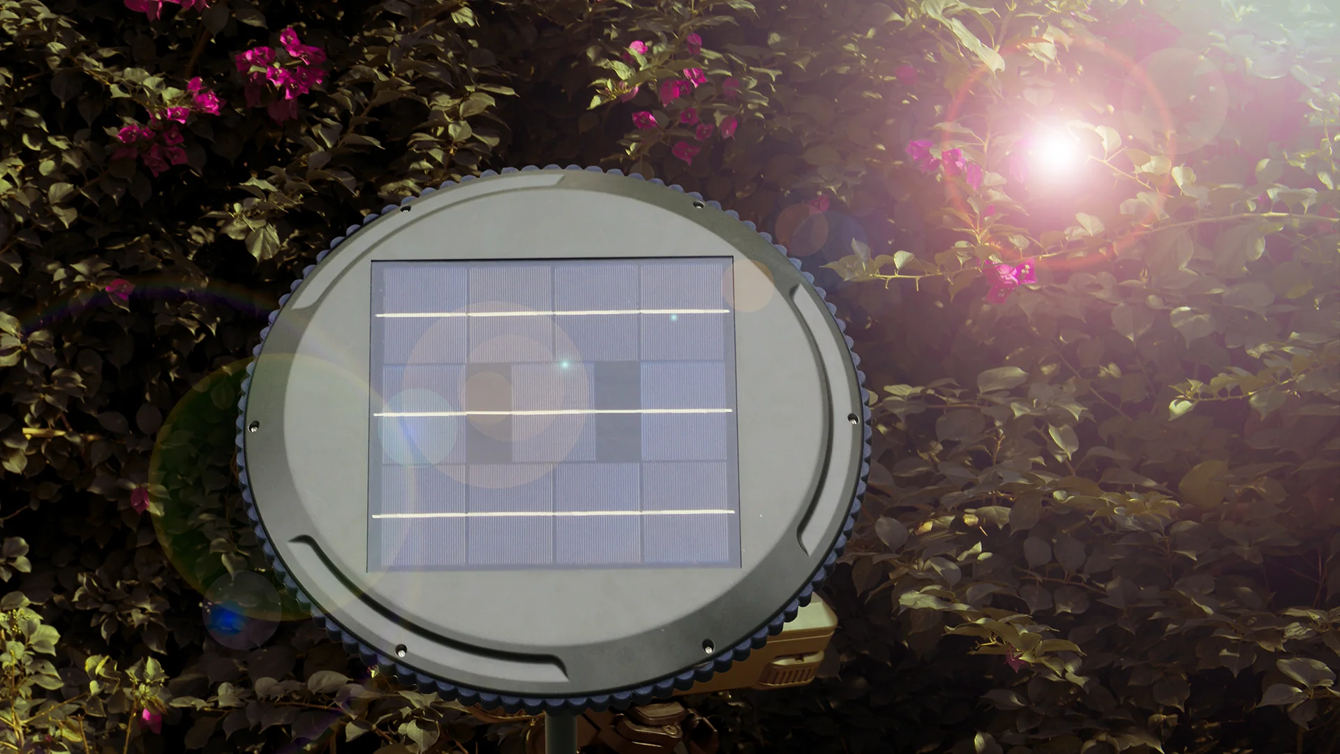 Wild Land UFO Solar Garden - Image 8